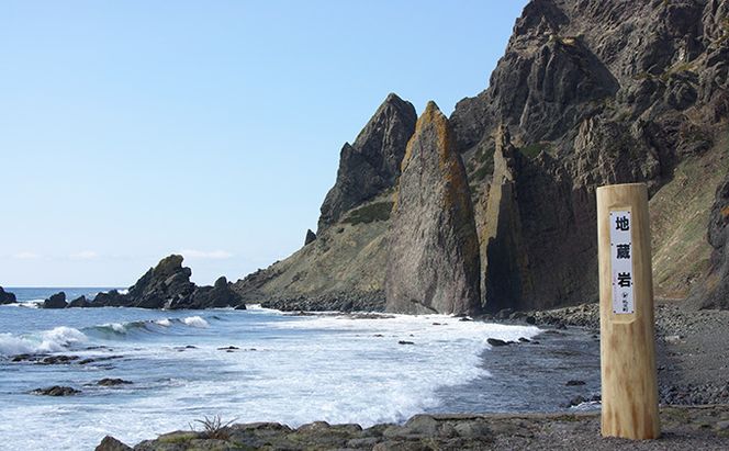 北むらさきうに缶詰（蒸しうに）100g ×1缶 ウニ 雲丹 うに うに缶 北海道 魚貝類 加工食品 