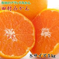 【有田のブランドみかん】田村みかん 約5kg (Sサイズ・秀品)