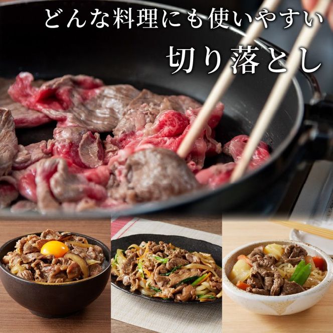 神戸牛切り落とし(500g)《 鍋 お鍋 牛しゃぶ すきやき 牛肉 おすすめ 神戸牛 バーベキュー こま切れ 焼肉 切り落とし 冷凍 国産 送料無料 》【2401A00201】