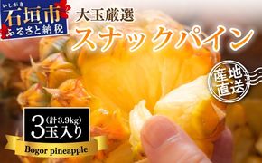 【先行予約】《2025年夏季 順次発送》石垣島産・スナックパイン、ずっしりの「大玉」3個入り SI-26-1