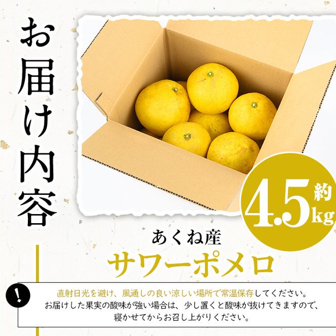 ＜先行予約受付中！2027年1月上旬以降順次発送予定＞竹ん子山のサワーポメロ(約4.5kg) 国産 鹿児島県産 阿久根産 柑橘 果物 フルーツ 果実 期間限定 【竹ん子山】akn097-12
