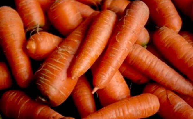 【先行予約11月下旬～順次発送】SORA農園の有機にんじん5kg　有機野菜 有機農園 オーガニックファーム オーガニック野菜 有機栽培 人参 にんじん ニンジン キャロット 冬野菜　SN00006