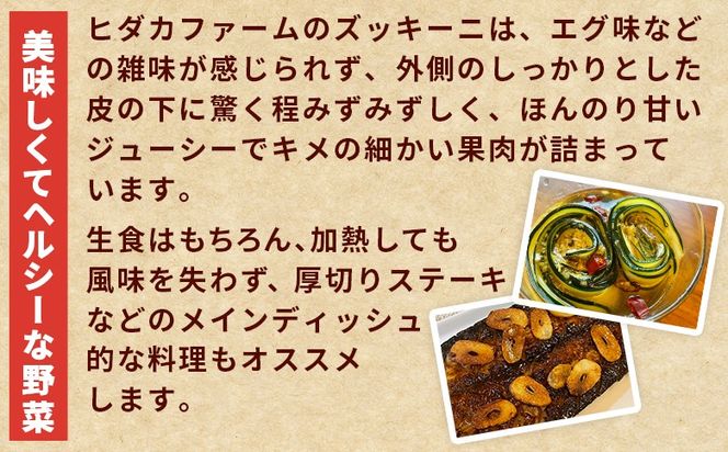 ★予約受付★＜野菜ソムリエサミット銀賞受賞！ あなたにズッキーニ約2kg（10本）＞2025年10月から順次出荷【 野菜 青果 国産 生食 輪切り ソテー サラダ 天ぷら ラタトゥイユ 】【b0915_hf】