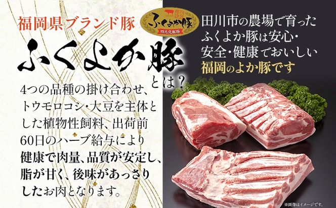 豚肉 しゃぶしゃぶ【E】ふくよか豚 お試ししゃぶしゃぶ (バラ＋ロース)セット バラ ロース 小分け ブタ肉 ぶた肉 冷凍 福岡県 福岡 九州 グルメ お取り寄せ