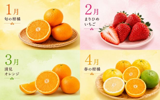 【旬のくだもの定期便】和歌山県の旬のフルーツを毎月お届け！　全12回【Ｓ】（配送日時指定不可）※北海道・沖縄・離島への配送不可 / 定期便 フルーツ みかん いちご イチゴ すいか 桃 柿 ジュース 12回 【ard-tkb901A】