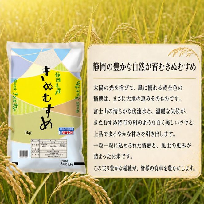 米 静岡きぬむすめ 5kg お米 白米 コメ 精米 きぬむすめ 静岡県産 袋井市 静岡県