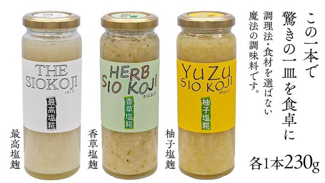 塩糀 6本セット 塩麹 塩こうじ 料理 発酵 調味料 農創 [AC01-NT]