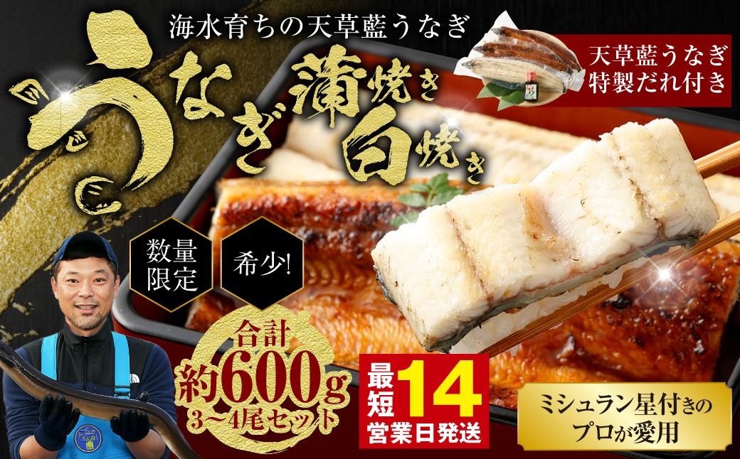 [ミシュラン星付きのプロが愛用]海水育ちの天草藍うなぎ 紅白3〜4尾セット[合計約600g]ウナギ 鰻 蒲焼き 白焼き 数量限定!!