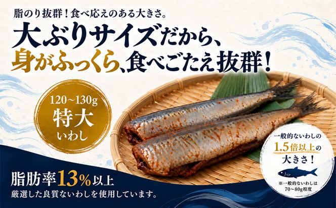 【北海道産】 いわし明太 10尾(2尾入×5袋) マイワシ 小分け ご飯のお供