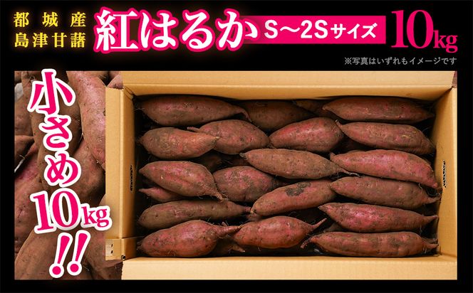 先行受付!【11月お届け】島津甘藷　熟成紅はるか 10kg(S～2S)_12-A7-001-10kg-m-11