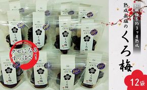 とてもすっぱい 熟成無塩の「くろ梅」　12袋セット　紅映梅を使用 梅干し 