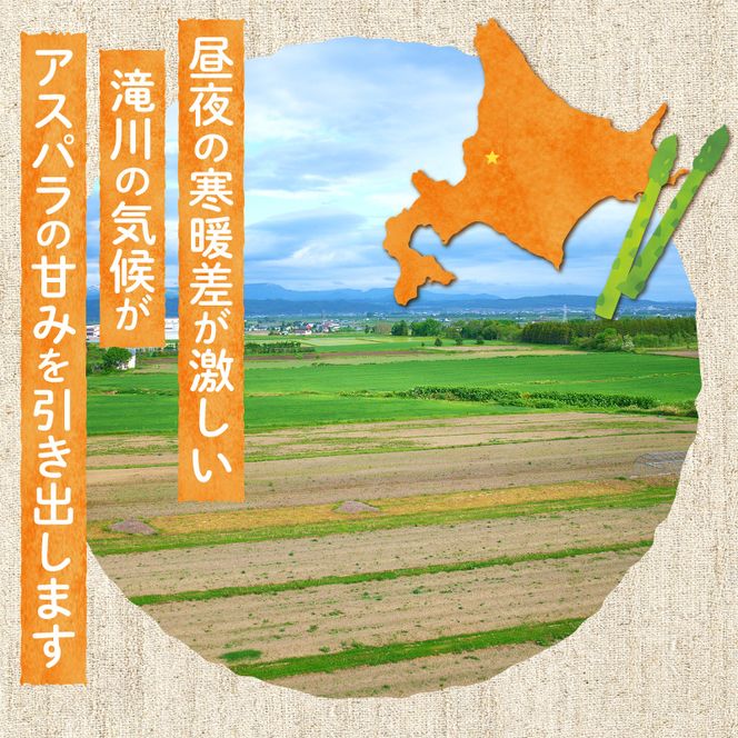 【2026年発送先行受付】北海道産グリーンアスパラ Sサイズ 1kg(500gx2袋) 産地直送 | 野菜 旬 とれたて お取り寄せ 小分け 保存 北海道 滝川市