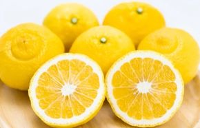 家庭用 森本農園の手選別 はるか 約5kg 和歌山県産 サイズ混合［北海道・沖縄・離島配送不可］［RN157］ 303446_DJ90156