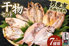 干物 干物セット7種 甘鯛 真アジ 真ホッケ 石持 チダイ 蓮子鯛 武田水産 秋田 男鹿市 [詰め合わせ ひも 干し 甘鯛 真アジ 真ホッケ 石持 チダイ 蓮子鯛]|23_tks-070101
