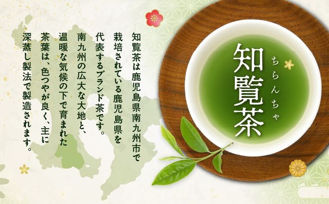 ＜選べる＞知覧茶ティーバッグ 50個入り×1袋～12袋セット　K346-003_SKU