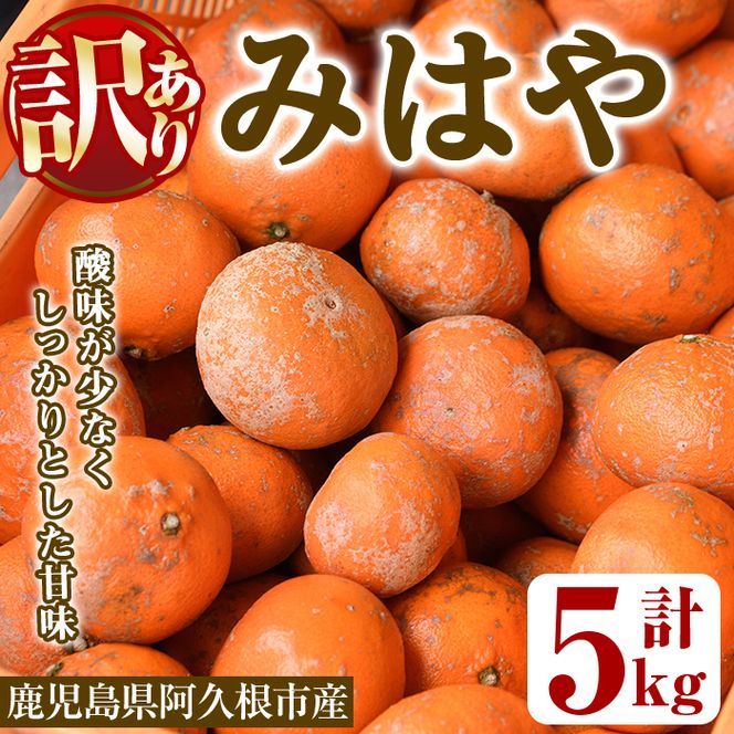 ＜先行予約受付中！2026年12月以降順次発送予定＞＜数量限定・訳あり＞みはや(約5kg) 国産 鹿児島県 阿久根市 果実 果物 フルーツ 柑橘 みかん ミカン デザート 酸味 甘味 期間限定 数量限定【桐野柑橘株式会社】akn070-01