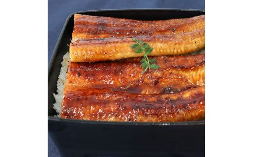 【3回定期便】仁淀川特大肉厚うなぎ2尾セット 定期コース 3ヶ月 タレ付き 
