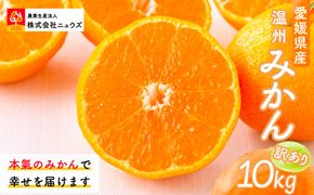 【先行予約】【訳あり】温州みかん 10kg ※離島への配送不可（2026年11月上旬より順次発送） IKTF028