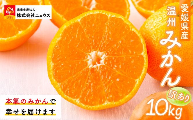 【先行予約】【訳あり】温州みかん 10kg ※離島への配送不可（2026年11月上旬より順次発送） IKTF028