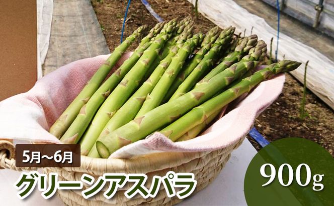 十勝幕別 北の畑のオーナーさん 人気の旬野菜 年3回定期便［2026年5月出荷開始］北海道ホープランド農場 【 アスパラ とうもろこし コーン じゃがいも ジャガイモ 玉ねぎ 野菜 定期便 】