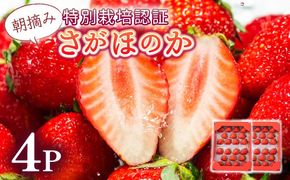 《先行予約・数量限定》あまい果汁溢れる最高級品質「さがほのか」約1kg（235g×4p）