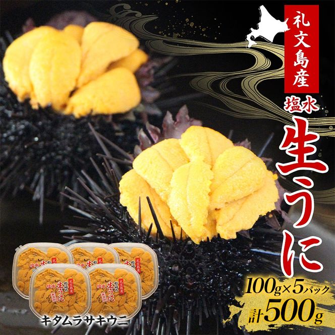北海道 礼文島産 ミョウバン不使用 塩水ウニ キタムラサキウニ 100g×5パック［野崎水産］【 うに ウニ 雲丹 生うに 塩水うに ムラサキウニ 素材本来の味 海鮮 うに丼 濃厚 甘み 産地直送 】