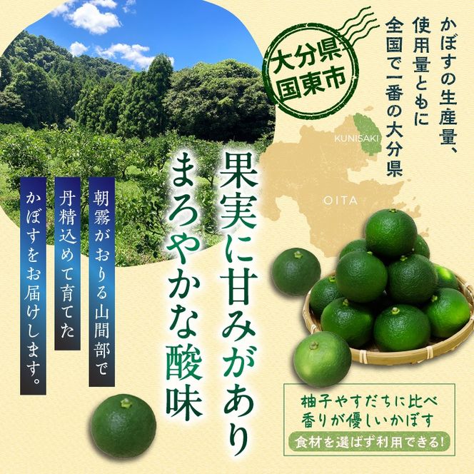【令和8年9月発送】朝霧立ち込める里からお届け！徳丸農園 種無しかぼす約1.8kg_2177R