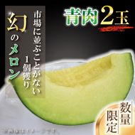 【2026年6月下旬より順次発送】【数量限定】1個獲り★幻のメロン　青肉(2玉入り1箱)｜メロン 青肉 青肉メロン 果物 フルーツ くだもの 旬 幻のメロン 数量限定 先行予約 茨城県 行方市(AY-2)