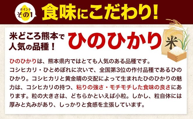 新米 令和8年産 ひのひかり 【3ヶ月定期便】 選べる精米方法 白米 or 無洗米 5kg 10kg 20kg 計3回お届け 《12月から出荷開始》 熊本県産 白米 無洗米 精米 ひの 米 こめ お米 熊本県 長洲町---ng_lcl_257_mo3_tei---
