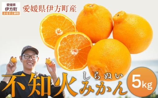 yQɕzys\zyʌzsm5kgi΍_jւ̔zs i2026N210菇\j IKTAG002