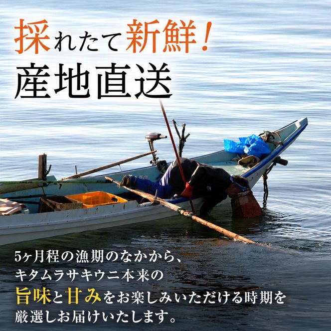 北海道 礼文島産 採れたて ミョウバン不使用 キタムラサキウニ 塩水パック 300g(100g×3個)［株式会社やまじょう］【 うに ウニ 雲丹 生うに 塩水うに キタムラサキウニ 滅菌海水 海鮮 うに丼 濃厚 甘み 】