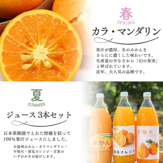 みかん 【全4回】 柑橘 定期便 石本果樹園 旬の柑橘を春夏秋冬でお届け！ / フルーツ 果物 くだもの 柑橘 フルーツ定期便 くだもの定期便 定期便 みかん ミカン 温州みかん せとか カラマンダリン ジュース 産地直送 旬 人気 おすすめ 三重県 紀宝町 【tkb508】