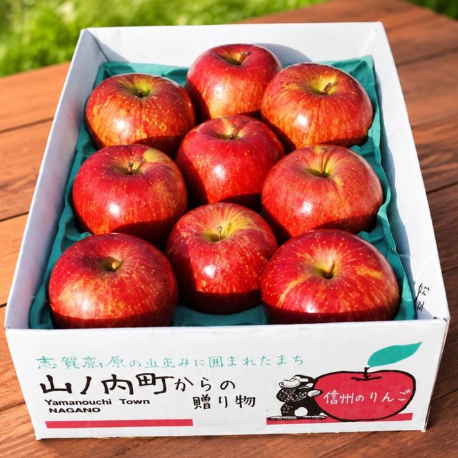 りんご 先行予約 サンふじ 秀品 約 3kg (7～11玉) フルーツ 果物 冬 2026年 12月発送