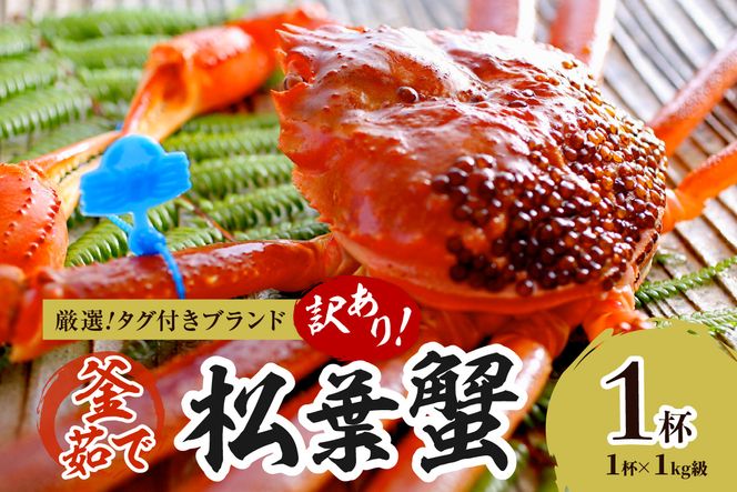 ys{Oszy󂠂II^Otuhz䥂ŏt NxQA䥂łɂĂ͂II 1kgi1{j×1t@YK00504