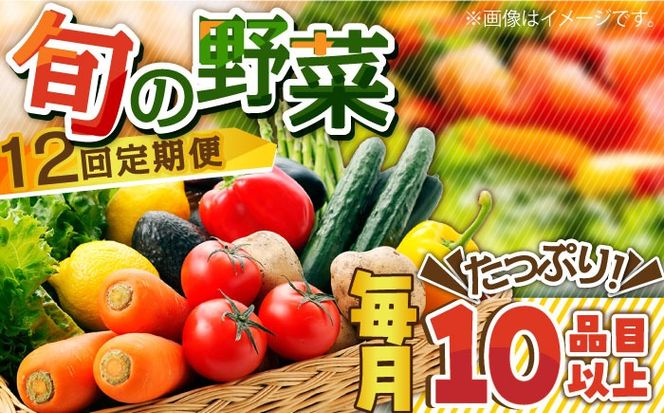 【12回定期便】地元の農家さんが収穫した旬のお野菜 詰め合わせセット 地元の農家さんが収穫した旬のお野菜 詰め合わせセット 野菜定期便 野菜詰め合わせ / 南島原市 / ミナサポ [SCW047]