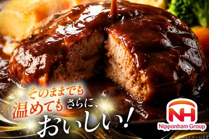 ハンバーグ 日本ハム まぼろしの味噌使用 デミグラスソース 150g 20個 [日本ハムマーケティング 宮崎県 日向市 452061707] レトルト 湯煎 レンジ 常温 小分け レトルト食品 真空 保存食 防災食 非常食 ふるさと納税 時短 簡単 肉 簡単調理 弁当 おかず 惣菜 デミグラス