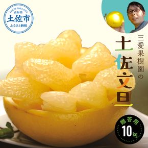 【先行予約】三愛果樹園の土佐文旦　贈答用　約10kg / 土佐文旦 みかん 柑橘 ぶんたん ブンタン 果物 フルーツ 〈2027年2月上旬から順次発送〉【三愛果樹園】