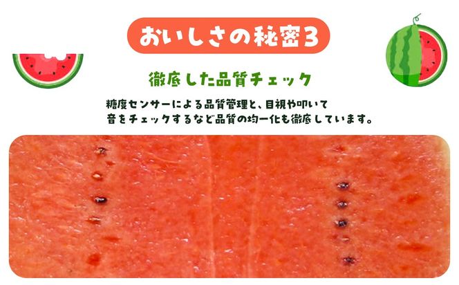 【先行予約・2027年6月下旬頃より発送】娘SUN 2玉 SMAF006