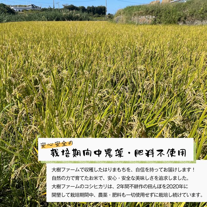 自然栽培もち米　はりまもち（白米）　3kg