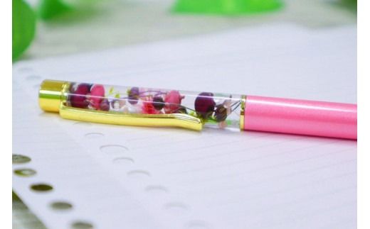 yRxmgcszn[oE {[y @(sN^ԁ^)