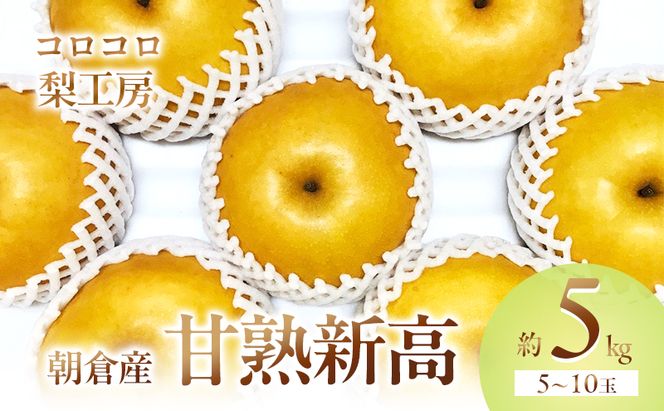 梨 新高梨 甘熟 味に自信あり！！約5kg 5～10玉入 配送不可 離島 ナシ 果物 フルーツ 先行予約 