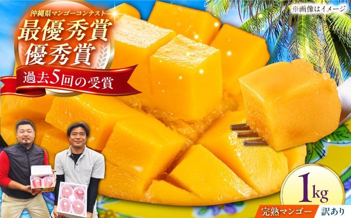 [先行予約 2026年発送 予約受付][訳あり]仲村農園の完熟アップルマンゴー 1kg マンゴー 沖縄 果物 フルーツ ギフト 沖縄市 / 仲村農園[BCCU004]