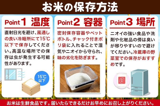 令和7年産 ミルキークイーン（精米）10kg（5kg×2袋）白米 こめ お米 秋田県 男鹿市 大進農場 [こめ 秋田 男鹿市 ミルキークイーン 白米]|23_dsf-101001