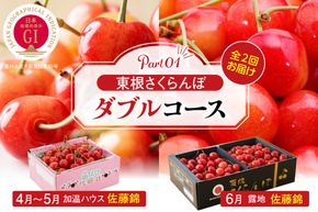 【2025年産 先行予約】東根さくらんぼ ダブルコース （佐藤錦加温500g、佐藤錦露地900g） 山形県 東根市 hi001-035-2