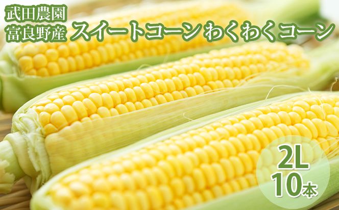2026年夏発送 ［武田農園とれたて直送］スイートコーン わくわくコーン 2L 10本 みずみずしく抜群にあまい！北海道 富良野産 (とうもろこし 野菜 新鮮 とうきび 甘い 産地直送 先行予約 限定)