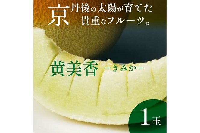 【先行予約／数量限定200】希少品種 黄美香（きみか）メロン 1玉（2025年7月下旬～発送）　DE00114