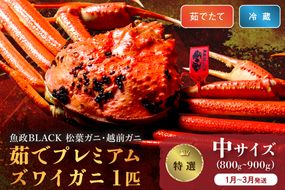 【蟹の匠 魚政】茹で　プレミアムズワイガニ 魚政BLACK（松葉ガニ・越前ガニ）特撰 中サイズ（800～900g） 1匹 (1月～3月発送）　UO01297