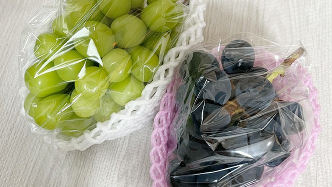 【定期便】ぶどう 品種ランダム5房セット【2026年8月から3か月連続で発送】（茨城県共通返礼品 [ぶどう]：結城市産） ブドウ 葡萄 果物 フルーツ 茨城県産 [BI434-NT]