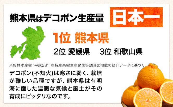 訳あり デコポン 約5kg前後(約12-24玉前後)《2月上旬-4月末頃出荷》 デコポン みかん 不知火 ご家庭用 訳ありデコポン 訳アリ 熊本県産 熊本県 長洲町 糖度13度以上---ng_dekopon_ad24_25_13000_5kg---