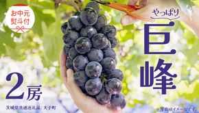 【 お中元 熨斗付き】 巨峰 ２房 【2026年8月上旬発送開始】(茨城県共通返礼品：大子町) ぶどう 葡萄 ブドウ フルーツ 果物 スイーツ ギフト 贈答用 贈り物 プレゼント